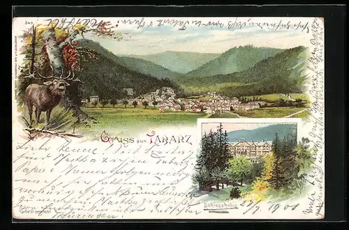 Lithographie Tabarz, Totalansicht, Schiesshaus