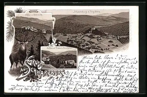 Vorläufer-Lithographie Schwarzburg /Thüringer Wald, 1894, Totale vom Tripstein aus, Schloss mit Terrasse u. Kirschwiese