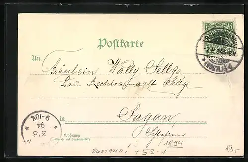 Vorläufer-Lithographie Reichenbach i. V., 1894, Totalansicht, Hotel Schöne Aussicht, Göltzschtalbrücke, Elstertalbrücke
