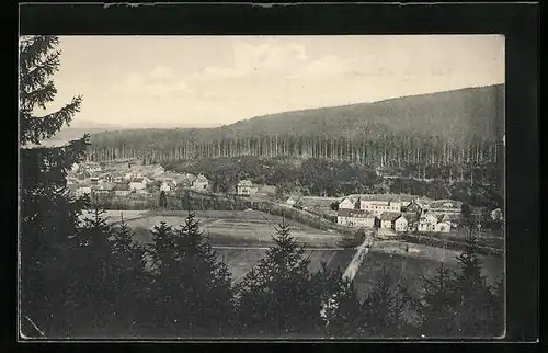 AK Luisenthal i. Th., Ortsansicht vom Berg aus