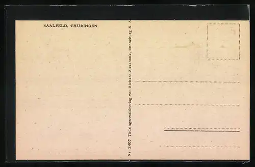 AK Saalfeld, Totalansicht mit Saalebrücke