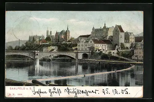 AK Saalfeld /S., Teilansicht der Saalbrücke