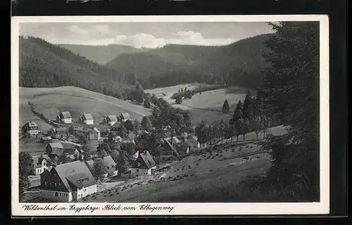 AK Wildenthal im Erzgeb., Ortsansicht vom Elbogenweg aus