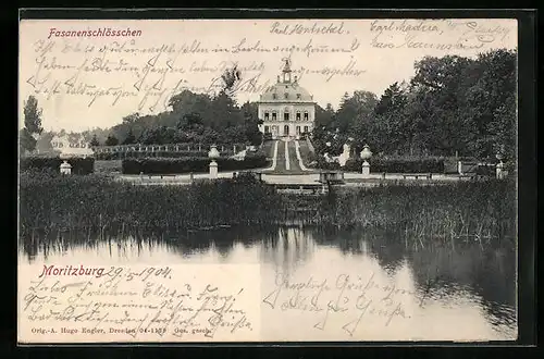 AK Moritzburg, Uferpartie mit Fasanenschlösschen