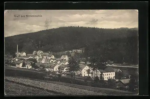 AK Bienenmühle, Totalansicht vom Berg aus