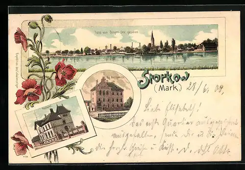 Lithographie Storkow /Mark, Totalansicht vom Dolgen-See gesehen, Postamt, Königliches Amtsgericht