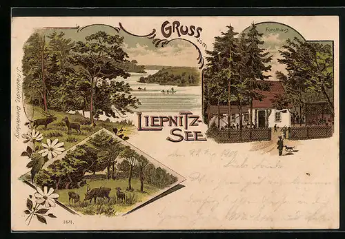 Lithographie Wandlitz, Liepnitz-See, Forsthaus, Waldpartie