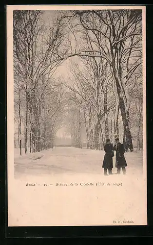 AK Arras, Avenue de la Ciradelle