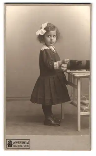 Fotografie A. Wertheim, Berlin, Rosenthalerstr., Kleines Mädchen im Kleid mit einem Bilderbuch