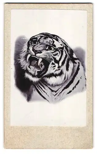 Fotografie unbekannter Fotograf und Ort, Gemälde: Tiger mit Reiszähnen