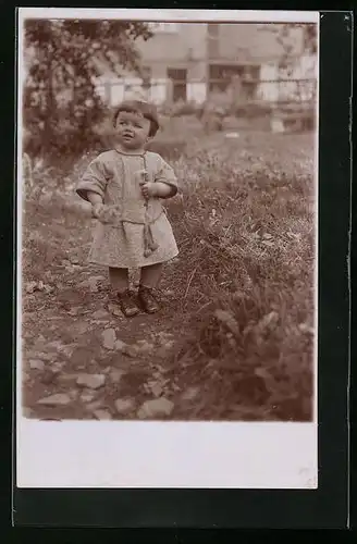 Foto-AK Kleiner Wonneproppen beim Pflücken einer Pusteblume