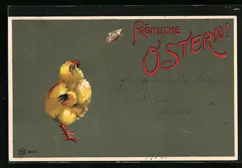 Künstler-AK Ostergruss, Osterküken guckt dem Schmetterling hinterher