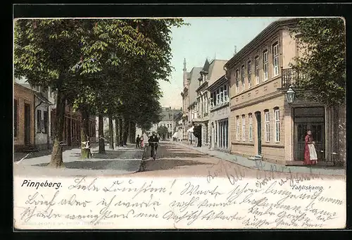 AK Pinneberg, Strassenpartie am Fahltskamp
