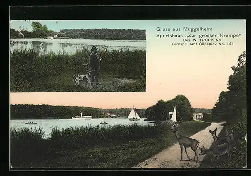 AK Müggelheim / Köpenick, Gasthof Sportshaus zur grossen Krampe, Dampfer, Rehwild