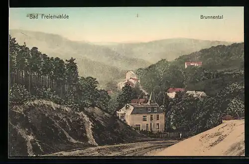 AK Bad Freienwalde, Blick ins Brunnental