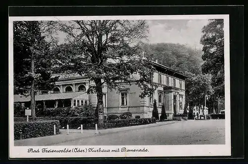AK Bad Freienwalde /Oder, Kurhaus mit Promenade