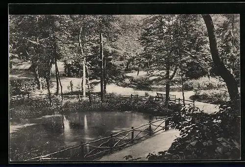 AK Bad Freienwalde /Oder, Partie am Kurpark