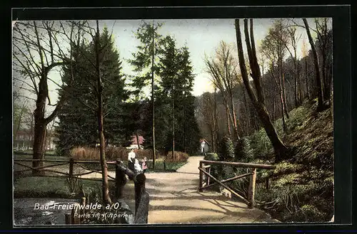 AK Bad Freienwalde /Oder, Partie am Kurpark