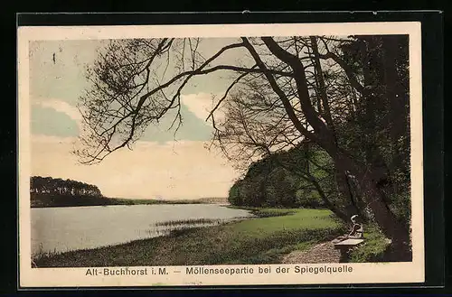 AK Alt-Buchhorst i. M., Möllenseepartie bei der Spiegelquelle