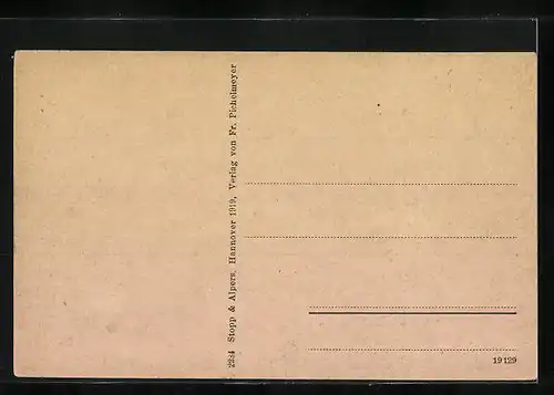 AK Bockenem a. Harz, Blick in die Steintorstrasse