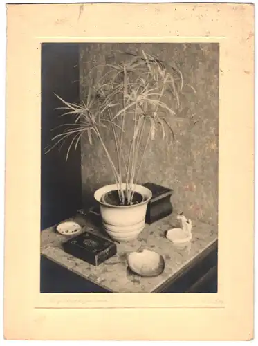 Fotografie Stillleben - Neue Sachlichkeit, Topfpflanze nebst Zigarrenkiste & Aschenbecher 1934