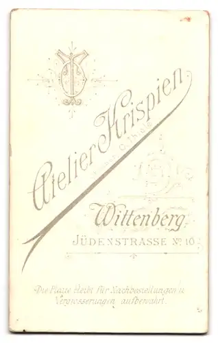 Fotografie Krispien, Wittenberg, Jüdenstrasse 10, Süsses Kleinkind nebst Spielzeug-Pferd