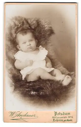 Fotografie W. Andauer, Potsdam, Alte Louisenstrasse 6, Kleinkind mit Schmollmund