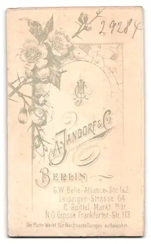 Fotografie A. Jandorf & Co., Berlin, Belle-Alliance-Str. 1&2, Mann im Anzug mit Schlips und Walrossbart
