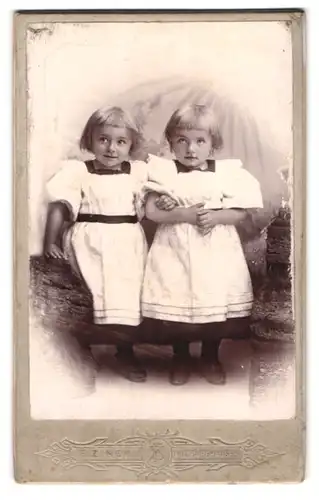 Fotografie F. Zinck, Hildburghausen, zwei niedliche Mädchen Lydia und Ida in weissen Kleidchen mit Topfhaarschnitt