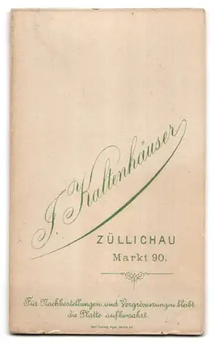 Fotografie J. Kaltenhäuser, Züllichau, Markt 90, Portrait junger Knabe im Samtanzug mit breitem Hut