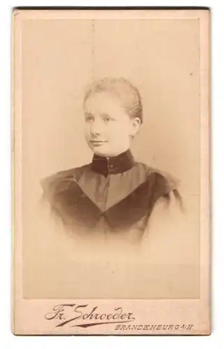 Fotografie Fr. Schroeder, Brandenburg a /H., Ritterstr. 18 u. Magdeburgerstr. 39, Junge Dame im Kleid
