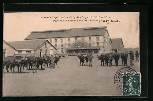 AK Rillé, Grande Exploitation de la Briche par Rillé, Départ des Beoufs pour les labours