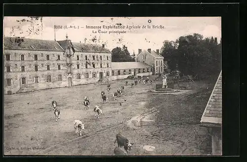 AK Rillé, Immense Exploitation Agricole de la Briche, La Cour principale