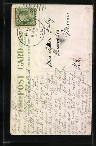 Präge-AK Frau mit prächtigem Truthahn, Thanksgiving