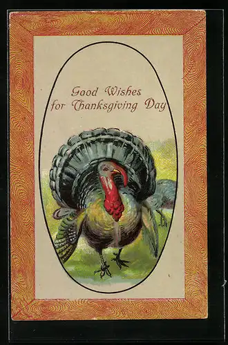 AK Prachtvoller Truthahn, Thanksgiving