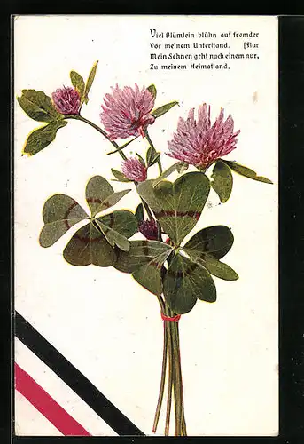 AK Blühende Kleeblätter, Kaiserreichsfahne