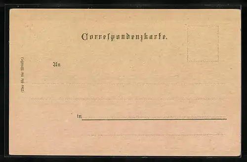 Lithographie Bregenz, Topographische Karte des Bodensees