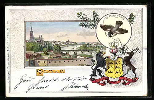 Passepartout-Lithographie Ulm a. D., Panoramablick auf die Stadt, Ulmer Spatz, Wappen