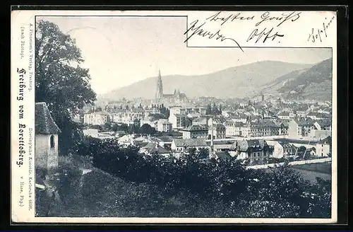 AK Freiburg i. B., Blick vom Lorettoberg