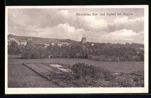 AK Alt-Ruppin, Panorama mit Gärten