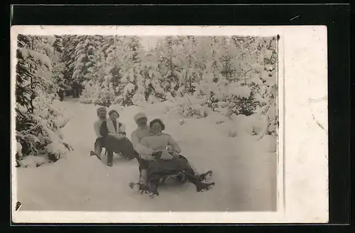 Foto-AK Schlitten fahrende Paare