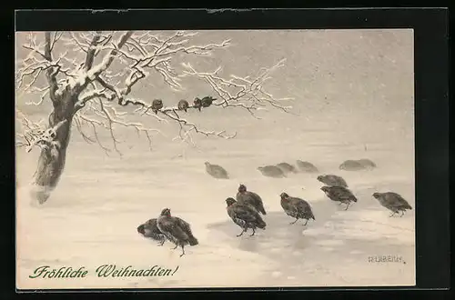 Künstler-AK R. Ulreich: Hühnerartige Vögel auf zugefrorenem See