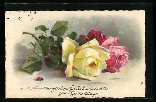 Künstler-AK Catharina Klein: Gelbe, rosafarben und rote Rose, Geburtstagsgruss