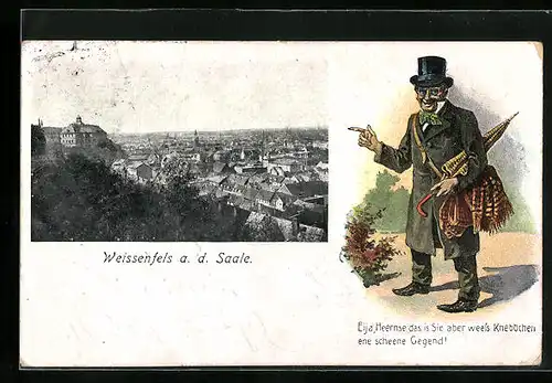 AK Weissenfels a. d. Saale, Panoramaansicht der Ortschaft