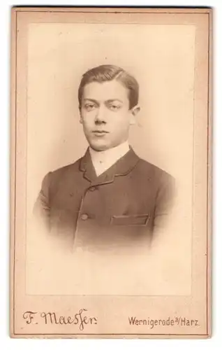 Fotografie F. Maesser, Wernigerode a. Harz, Junger Herr in modischer Kleidung