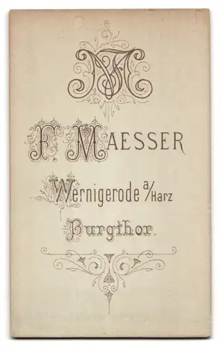 Fotografie F. Maesser, Wernigerode a. Harz, Junger Herr in modischer Kleidung