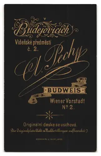 Fotografie A. Pech, Budweis, Wiener Vorstadt 2, Bürgerlicher Herr in Anzugjacke mit Bart