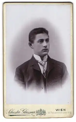 Fotografie Schuster Gleissner, Wien, Thaliastr. Hoferplatz 11, Junger Herr im Anzug mit Krawatte