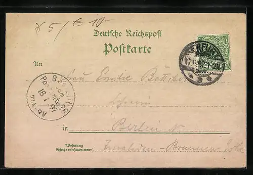 Lithographie Erfurt, Dom u. Severikirche, Gesamtansicht