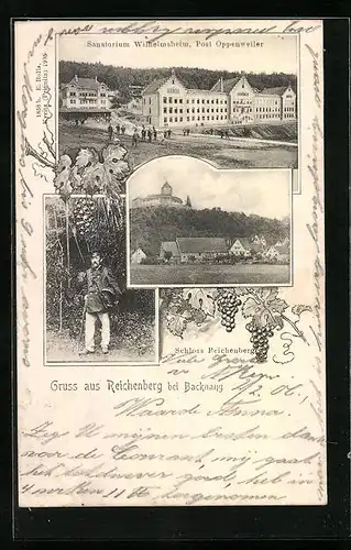 AK Reichenberg bei Backnang, Sanatorium Wilhelmsheim, Post Oppenweiler, Schloss